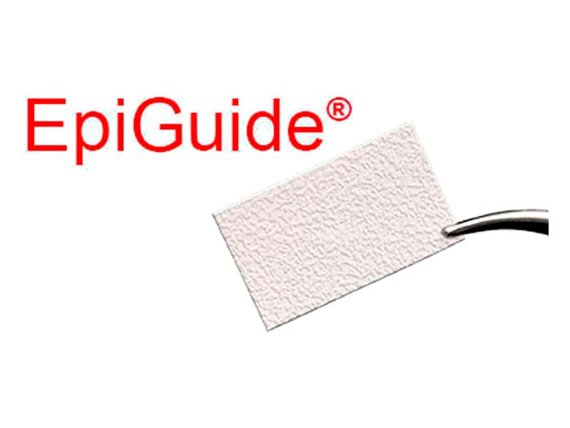 Epiguide